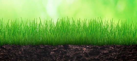 Celebrate Earth Day "Green" Your Print Environment